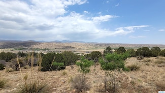 241 Caballo Blanco, Mimbres, NM 88041