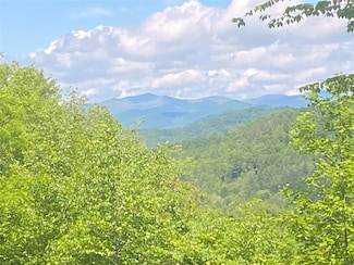 TBD Charles Sondheimer Rd, Franklin, NC 28734