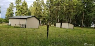 17310 Wheat St SW, Rochester, WA 98579