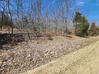 4.3 ac Golden Goose Dr Unit Oak of Mamre S/D, Adair Township, MO 65326