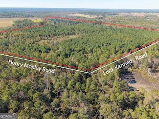 1 Henry Moxley Rd, Cobbtown, GA 30420