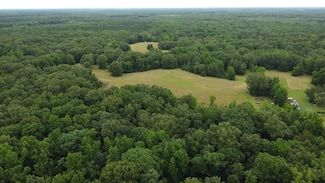 000 Butler Ln Unit LotWP001, Dewitt, AR 72042