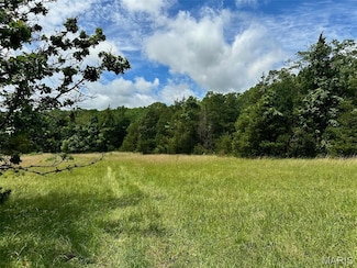 Lot 1 Highway H, Elk Creek, MO 65464