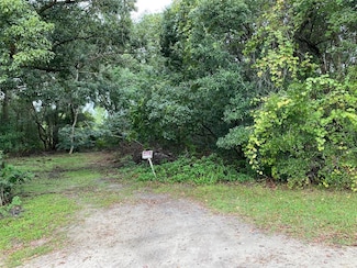 0 N Wardell St, Mount Dora, FL 32757