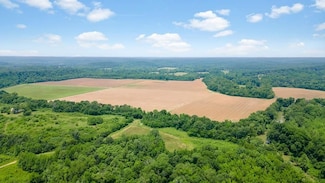 Old River Rd, Zalma, MO 63787
