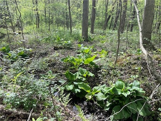 000 Conneaut Lake Rd, Sugar Grove Township, PA 16125
