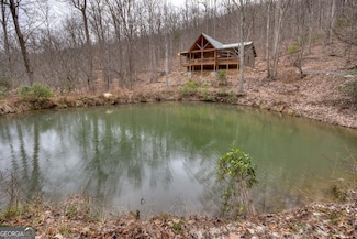 442 N Burgess Gap Rd, Morganton, GA 30560