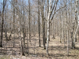 LOTS 26 & 29 Loch Lomond Blvd, Birchwood, WI 54817