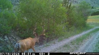 1131 Outlaw Trail, Anaconda, MT 59711