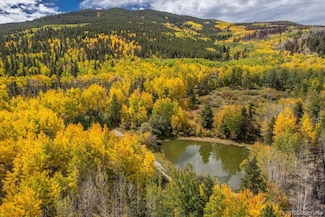 000 Tbd County Road 28a, Twin Lakes, CO 81251