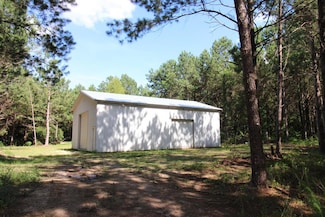 1455 Georgia 202, Meigs, GA 31765
