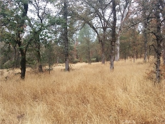 0 Donkey Mine Rd, Oak Run, CA 96069