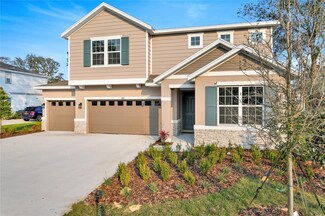 3817 Deer Ridge Dr, Mount Dora, FL 32757