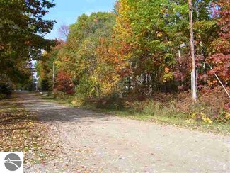 N/A Buikema Drive 36 & 37, Lupton, MI 48635