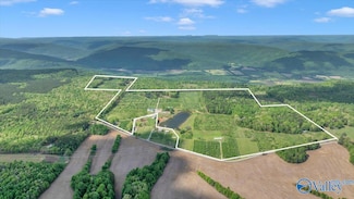 6236 County Road 39, Fackler, AL 35746