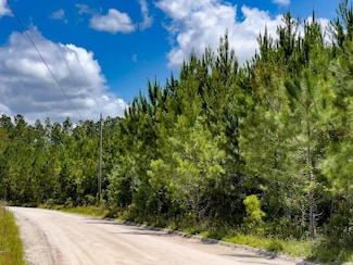002 SE Brushy Hammock Rd, Mayo, FL 32066