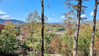 81 Bacon Dr Unit 2, Bryson City, NC 28713