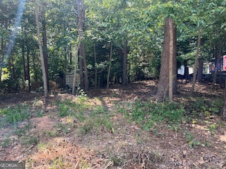 0 Big Water Cir Unit 10463585, Hartwell, GA 30643