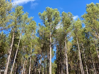 586 Anneliis Ln, Siler City, NC 27344