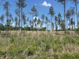 0 Grant 433, Sheridan, AR 72150