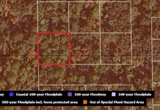 106 Marsh Ct, Georgetown, FL 32139