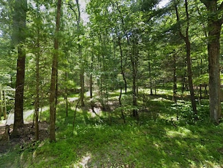 0 Woodland Mountain Trail Unit 23799899, Augusta, WV 26704