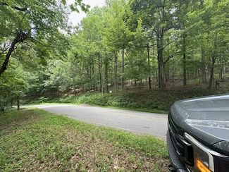 0000 Skyuka Mountain Rd, Columbus, NC 28722