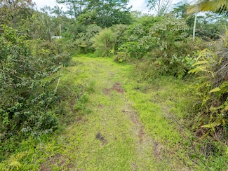 0 Kumakahi St Unit 717452, Pahoa, HI 96778