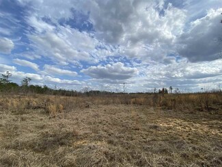 0 Highway 14 Unit 1339023, Sallis, MS 39160