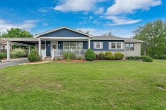 517 Vreeland Rd, Hillsboro, MO 63050