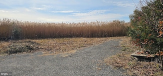 2806 Kitts Hummock Rd, Dover, DE 19901