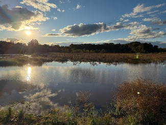 Sconyers Rd, Clio, AL 36017