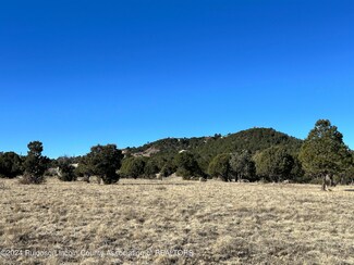 Lot 262 Cinch Ct, Alto, NM 88312