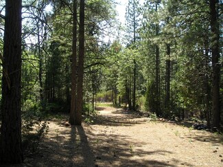 0 Whitmore Rd Unit 19-902, Whitmore, CA 96096
