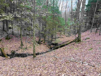 Lot 4 Haley Dr, Hyde Park, VT 05655