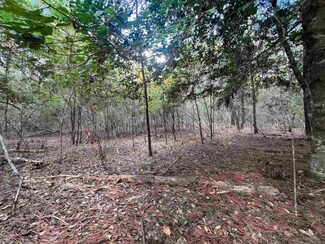 00 Blue Willow Dr, Wildwood, TX 77664