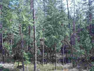 Lot 68 Mountain View Rd, Clark Fork, ID 83811