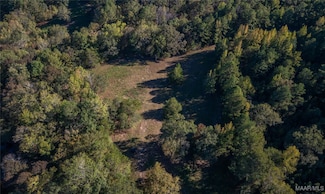 0 Sawyers Cove Rd Unit 580725, Calera, AL 35040