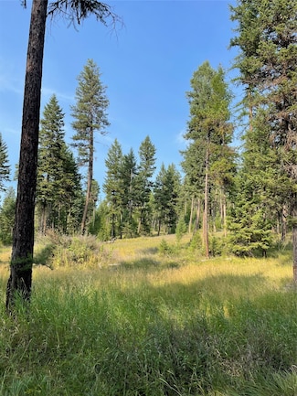 1062 Brady Way W, Whitefish, MT 59937
