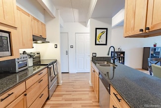 777 N Washington St Unit 508, Denver, CO 80203