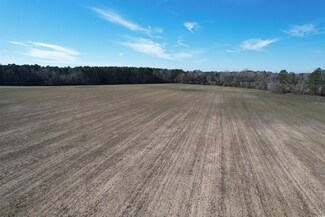 80.86 Acres-TBD Cedar Swamp Rd Unit Central Rd, Kingstree, SC 29556