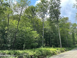 Lot 4 Ore Bed Rd, Lanesborough, MA 01237