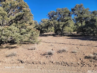 1450 Yellowjacket Rd, Reno, NV 89521