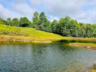 00 W Hill Rd S, Jamaica, VT 05343
