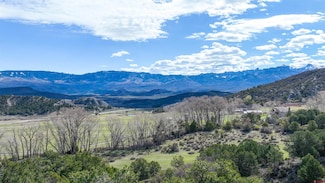 TBD Colorado 62, Ridgway, CO 81432