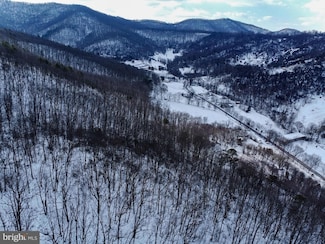 0 Cubbage Hollow Rd Lot 75 - 40 55 Acres, Stanley, VA 22851