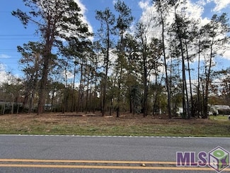 tbd La Hwy 16, Denham Springs, LA 70726