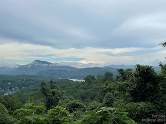 0 Clear Creek Trail Unit 31 CAR4050454, Lake Lure, NC 28746