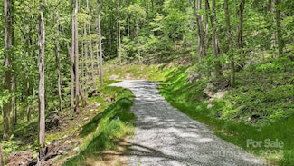 LT 5B von Trapp Ln Unit 5B, Tuckasegee, NC 28783