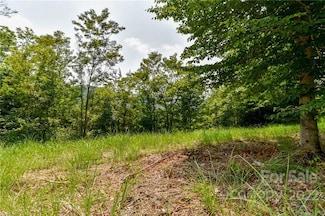 319 the Vines Blvd Unit 21, Marshall, NC 28753
